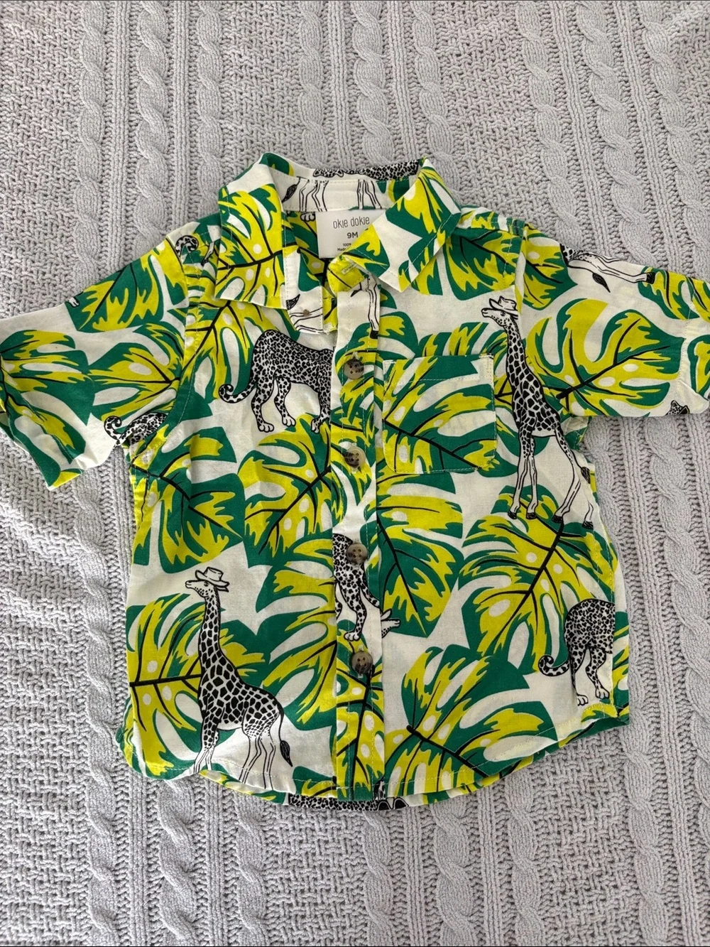 Assorted 9 months baby boy bundle